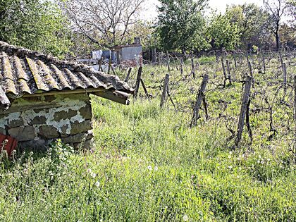 Купить ID2212 Дом с участком земли в селе Горица в Болгарии