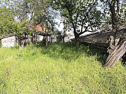 Купить ID2212 Дом с участком земли в селе Горица в Болгарии