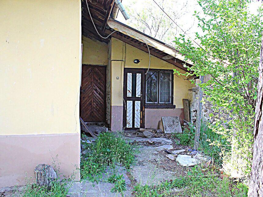 ID2212 Дом с участком земли в селе Горица