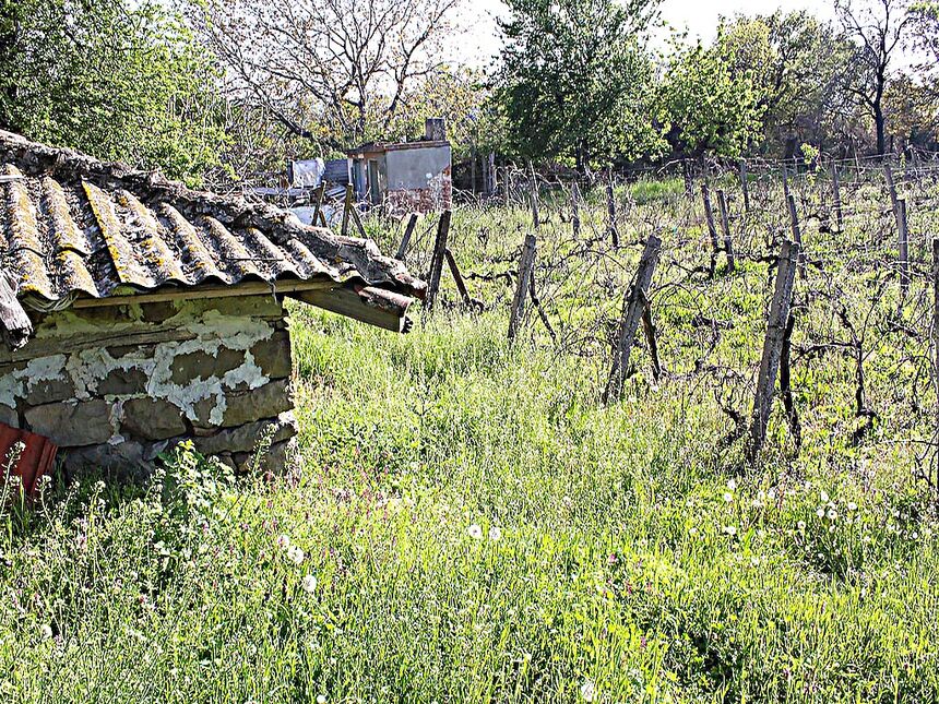 ID2212 Дом с участком земли в селе Горица