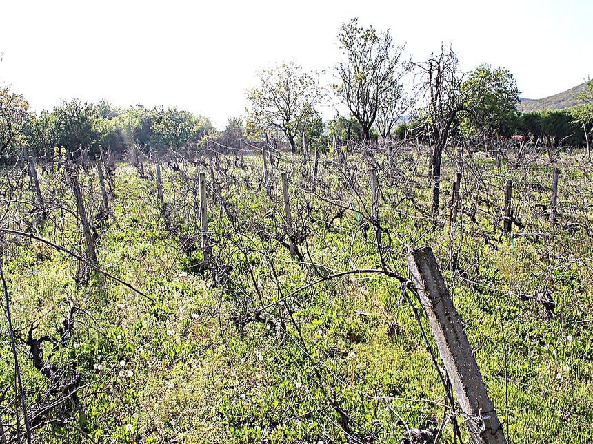 ID2212 Дом с участком земли в селе Горица